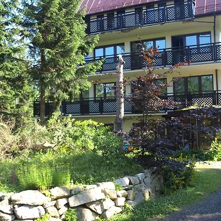 Widok - Bike 2*